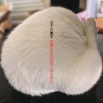 山下久美子 「山下久美子４５周年ベスト・アルバム　大事なものはなくならない。」