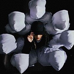 Ａｒｃｈｅ「ＴＨＥ　ＢＬＡＣＫ　ＳＨＥＥＰ　ＯＦ　ＴＨＥ　ＦＡＭＩＬＹ」