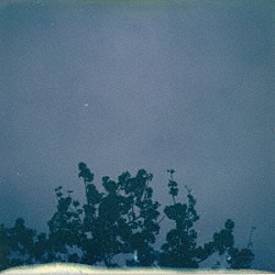 君島大空「花落知多少」