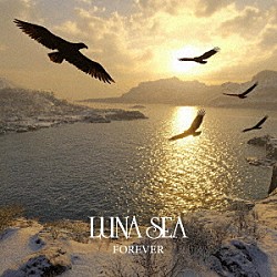 ＬＵＮＡ　ＳＥＡ「ＦＯＲＥＶＥＲ」