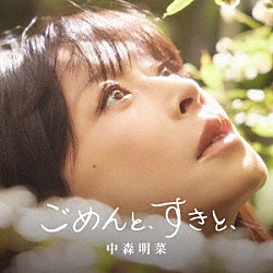 中森明菜「ごめんと、すきと、」