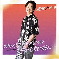 真田ナオキ「プルメリア　ラプソディ／陽が沈む前に…」