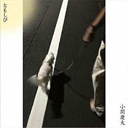 小間慶大「ともしび」