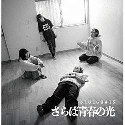 ＢＬＵＥＧＯＡＴＳ「さらば青春の光」
