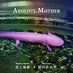 Ｒｏｏｆｔｏｐ　Ｃａｍｅｌｓ　屋上駱駝＋按田佳央理 吉田野乃子 本山禎朗「ＡＸＯＬＯＴＬ　ＭＯＴＨＥＲ」