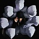 Ａｒｃｈｅ「ＴＨＥ　ＢＬＡＣＫ　ＳＨＥＥＰ　ＯＦ　ＴＨＥ　ＦＡＭＩＬＹ」