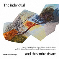 （クラシック）「 デーヴィズセン：Ｔｈｅ　ｉｎｄｉｖｉｄｕａｌ　ａｎｄ　ｔｈｅ　ｅｎｔｉｒｅ　ｔｉｓｓｕｅ」