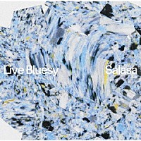 さらさ「 Ｌｉｖｅ　Ｂｌｕｅｓｙ」