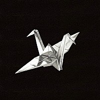 ｃｏｌｄｒａｉｎ「 ＯＰＴＩＭＩＺＥ　＝　ＯＰＴＤＥＭＩＳＥ」