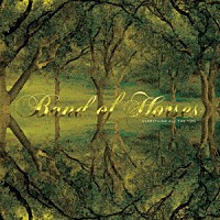 ＢＡＮＤ　ＯＦ　ＨＯＲＳＥＳ「 ＥＶＥＲＹＴＨＩＮＧ　ＡＬＬ　ＴＨＥ　ＴＩＭＥ　（２０ＴＨ　ＡＮＮＩＶＥＲＳＡＲＹ　ＥＤＩＴＩＯＮ）」