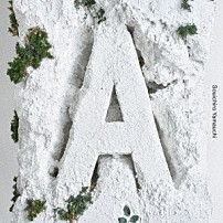 山内総一郎 「Ａ」