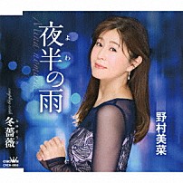 野村美菜 「夜半の雨」