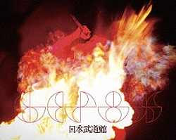 ＧＥＺＡＮ「ｌｉｖｅ　ａｔ　武道館」