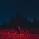 ＰＨＯＥＢＥ　ＢＲＩＤＧＥＲＳ「ＰＵＮＩＳＨＥＲ」