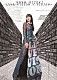 水樹奈々「ＮＡＮＡ　ＭＩＺＵＫＩ　ＬＩＶＥ　ＶＩＳＩＯＮ　×　ＶＩＳＩＯＮ＋」