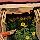Ｋｅｖｉｎ　Ｍｏｒｂｙ「Ｌｉｔｔｌｅ　Ｗｉｄｅ　Ｏｐｅｎ」