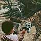 ＵＮＫＮＯＷＮ　ＭＯＲＴＡＬ　ＯＲＣＨＥＳＴＲＡ「Ⅴ」
