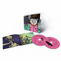 ダイナソーＪｒ．「 ウィズアウト・ア・サウンド（エクスパンデッド２ＣＤエディション）」