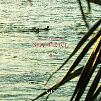（Ｖ．Ａ．）「 ＳＡＬＴ．．．　ｍｅｅｔｓ　ＩＳＬＡＮＤ　ＣＡＦＥ　ＳＥＡ　ｏｆ　ＬＯＶＥ　４」
