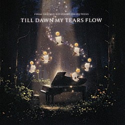 （ゲーム・ミュージック） Ｋｅｉｋｏ Ａｍａｎｄａ　Ａｃｈｅｎ「ＦＩＮＡＬ　ＦＡＮＴＡＳＹ　ⅩⅣ　Ｐｉａｎｏ　Ｃｏｌｌｅｃｔｉｏｎｓ　－　Ｔｉｌｌ　Ｄａｗｎ　Ｍｙ　Ｔｅａｒｓ　Ｆｌｏｗ」
