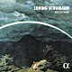 エリック・ル・サージュ「シューマンに恋して」