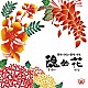 デラックス×デラックス「魂（まぶい）ぬ花」