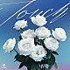ＭＡＺＺＥＬ「Ｔｏｕｃｈ」