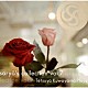Ｔｅｔｓｕｙａ　Ｋｕｗａｙａｍａ「ｓａｒｙｏ’ｓ　ｃｏｌｌｅｃｔｉｏｎ　ｖｏｌ．７　Ｔｅｔｓｕｙａ　Ｋｕｗａｙａｍａ　Ｐｌａｙｓ」