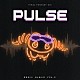 （ゲーム・ミュージック） ＡＫＩＮＯ Ｍｉｃｈａｅｌ－Ｃｈｒｉｓｔｏｐｈｅｒ　Ｋｏｊｉ　Ｆｏｘ Ａｙｕｍｉ　Ｍｕｒａｔａ Ｌｕｋｅ　Ｃｕｅｒｄｅｎ Ａｍａｎｄａ　Ａｃｈｅｎ「ＰＵＬＳＥ：　ＦＩＮＡＬ　ＦＡＮＴＡＳＹ　ⅩⅣ　Ｒｅｍｉｘ　Ａｌｂｕｍ　Ｖｏｌ．３」