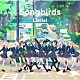 Ｌｉｅｌｌａ！「『ラブライブ！スーパースター！！　Ｌｉｅｌｌａ！　８ｔｈ　ＬｏｖｅＬｉｖｅ！　Ｔｏｕｒ　～Ｏｕｒ　Ｓｏｎｇ，　Ｏｕｒ　Ｄｒｅａｍｓ～』テーマソングミニアルバム「Ｓｏｎｇｂｉｒｄｓ」」