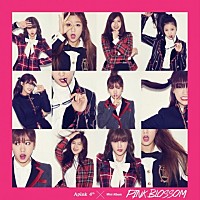 Ａ－ＰＩＮＫ「 ４ＴＨ　ＭＩＮＩ　ＡＬＢＵＭ　：　ＰＩＮＫ　ＢＬＯＳＳＯＭ」