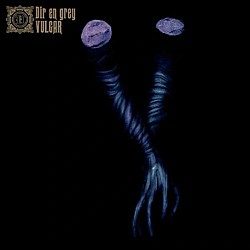 Ｄｉｒ　ｅｎ　ｇｒｅｙ「ＶＵＬＧＡＲ」