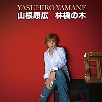 山根康広「 林檎の木 c/w GRAND DAYS」