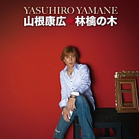 山根康広 「林檎の木　ｃ／ｗ　ＧＲＡＮＤ　ＤＡＹＳ」