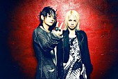 「■VAMPS■ 世界初！ FREE LIVE 3サイトで無料同時生放送決定！」1枚目/1