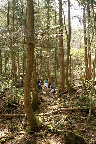 「あのアイドルの代表曲が差し替えに？ MVに謎の3名」