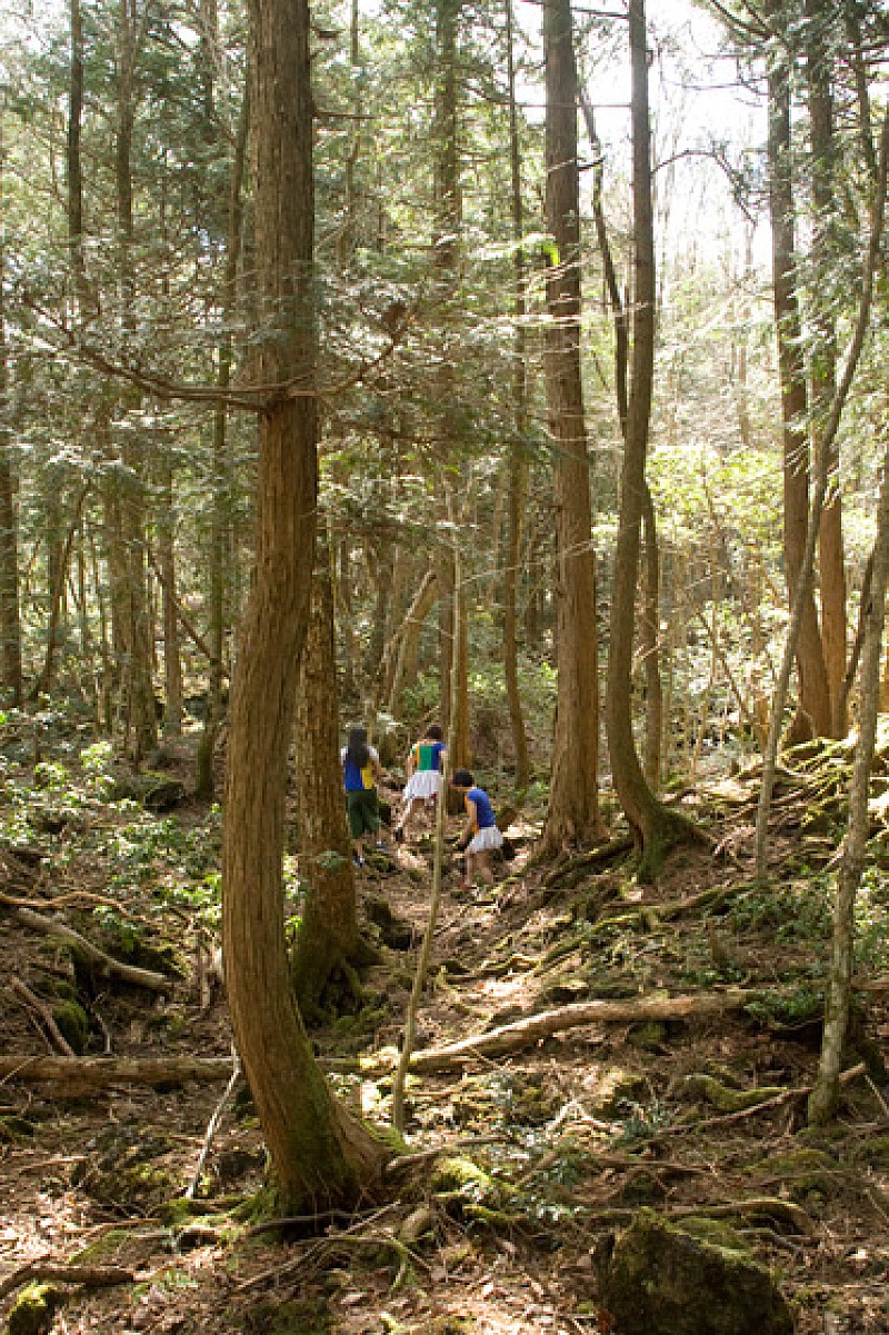 「あのアイドルの代表曲が差し替えに？ MVに謎の3名」1枚目/4