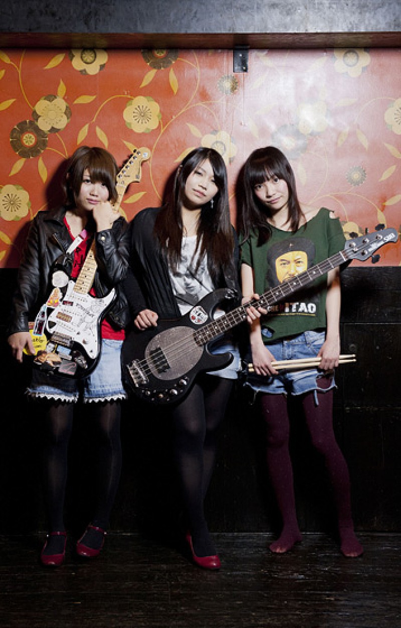 「日本マドンナ 新ミニALに遠藤ミチロウのカバー収録」1枚目/2