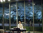 「熊木杏里 満開の桜を背景に桜歌歌唱「風になった」」1枚目/2