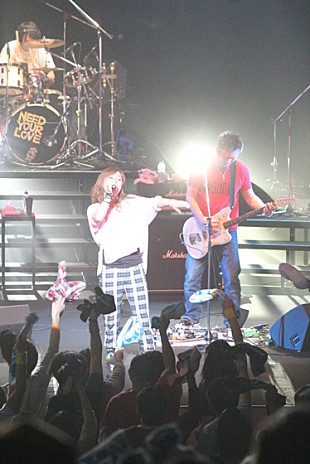 「Do As 福岡公演にくまモン参戦＆13周年イベント開催決定」