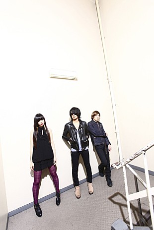 「北海道フェス【RSR】に怒髪天、斉藤和義、ねごと、Heavenstamp」