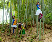 「衝撃アイドルグループ 新メンバーは人数も性別も人間かも不明」1枚目/1