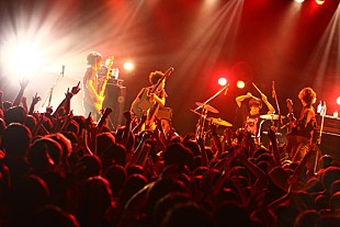 「cinema staff トラブル発生も9mmカバーなどで観衆を魅了」