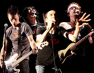 「ザ・クロマニヨンズ 涙誘う爆裂ライブをDVD化」