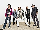 「エアロスミス 新作より“野獣系”ロックンロール解禁」1枚目/3