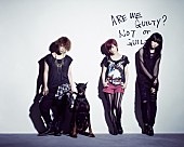 「結成から約6年、ステレオポニーが解散を発表」1枚目/1