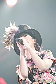 「大塚 愛、ミリヤ、KREVAら 1万人動員イベントへ出演！」1枚目/16