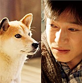 「(C)2013「ひまわりと子犬の7日間」製作委員会」2枚目/10