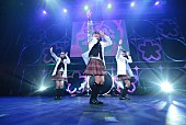 「BABYMETALに続け！ さくら学院の新部活はエレクトロな科学部」1枚目/6