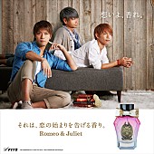 「ソナポケ ファン投票も実施した自身プロデュースの香水を発売」1枚目/4